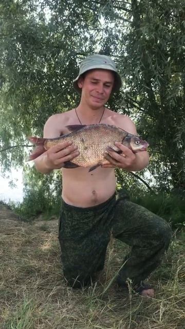 Рыбалка Муром- Ока 10 Июля 2024… #fishing #shorts смотреть онлайн