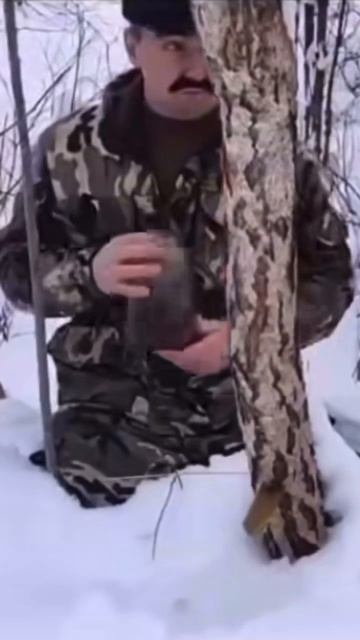 Не ешьте желтый снег)) #березовыйсок #леста смотреть онлайн