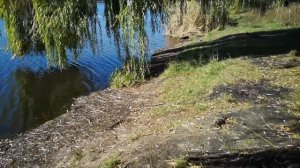 Неверная Жена Смело Веселилась с Мужчинами, Но Я узнал