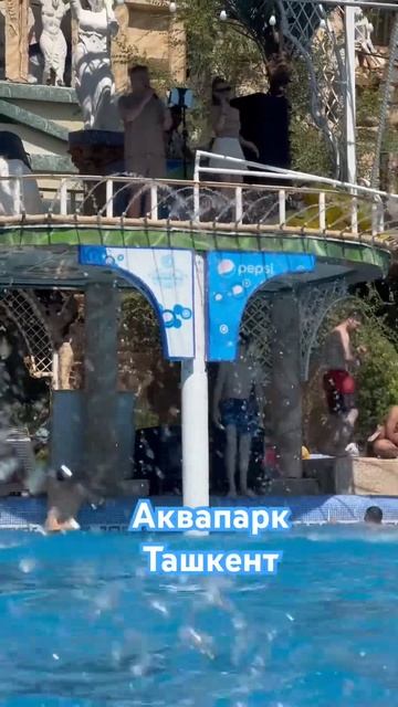 Наш отдых в Ташкенте. Лето 2023. Аквапарк “Солнечный гор