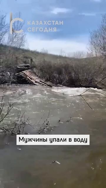 Река забрала троих: трагедия на подвесном мосту#новос? смотреть онлайн