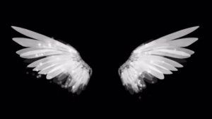 angel футаж