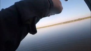 РЫБАЛКА НА СОМА С БЕРЕГА! СОМ НА СПИНИНГ!