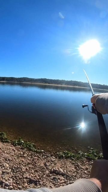 #carpfishing #carp #feeder #карп #рыбалка #рыбалканадонки смотреть онлайн