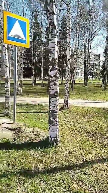 Берёзовая раща рядом с домом 40 лет победы смотреть онлайн