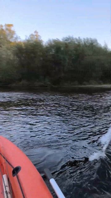 Абакан /Yamaha 40 jet р.Анюй #yamaha #абакан #реки #рыбалка смотреть онлайн