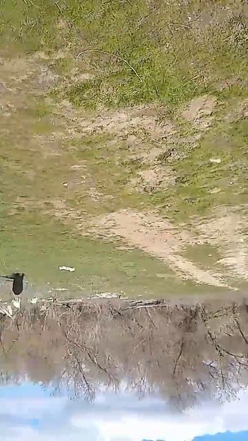 #дуэт #агротехнологии #деревня #рыбалка #automobile #fishing #baki смотреть онлайн