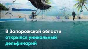 В Запорожской области открылся уникальный дельфинарий