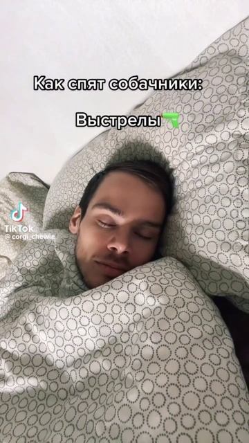 Так и есть😂 А у вас так же? #животные #дом #топ #кот #пит? смотреть онлайн