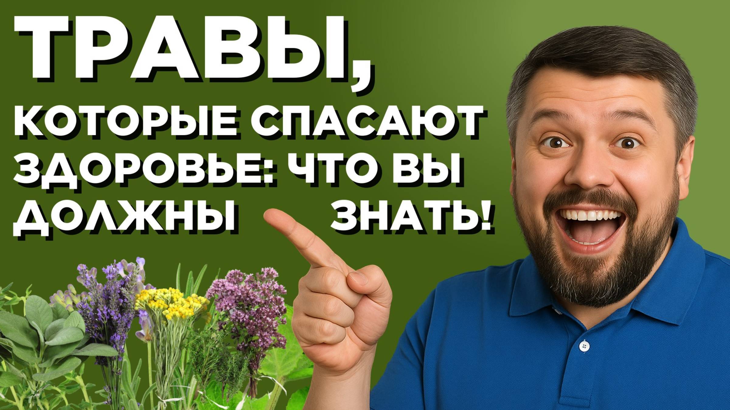 Травы для Здоровья от настоящего Ботаника: Применение и Современные Исследования