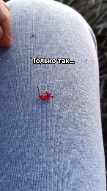 #рыбалка #fishing #подлещик #напоплавок #мотыль смотреть онлайн