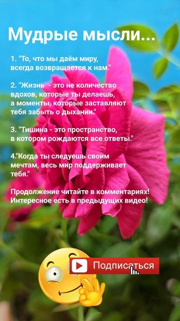 То, что мы даём миру,  всегда... / Мудрые мысли Эзотерика