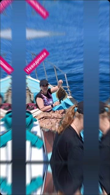 Уссурийск ул арсеньева 1 2этаж телеграмм канал rybalka_ussur смотреть онлайн