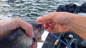 Рыбалка с сапборда.Нашёл клёвое место. Рыбалка в Крыму