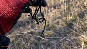 Нашли деревушку. Без находок не остались