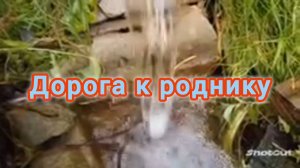 ДОРОГА К РОДНИКУ. ЖИВИТЕЛЬНАЯ ВЛАГА.