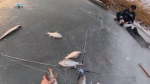 Экстримальная рыбалка на хапугу