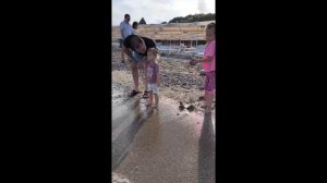 обзор 2  ARMAS.    KAPLAN