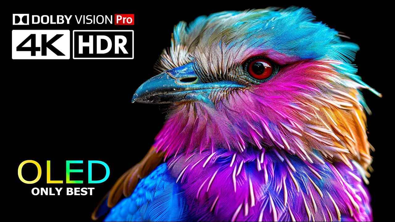 Яркие OLED Colors 4K 120fps HDR Video ULTRA HD 120 FPS - Dolby Vision смотреть онлайн