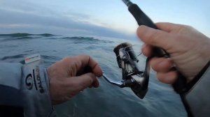 Рыбалка на сибаса в Черногории с берега| Тонкости ловл