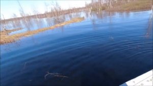 Щука в лесу, ловля в половодье! Слаги Narval Maxlug рулят!