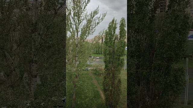 2 мая 2025 г.