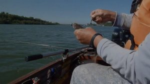 Вверх по Дону от Ростова-на-Дону. Острова Зеленый, Межо