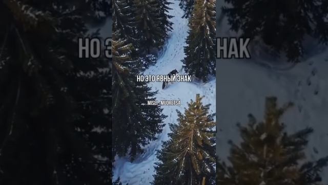 Научитесь замечать сигналы вокруг вас и избавляйтесь от лживых и предателей!