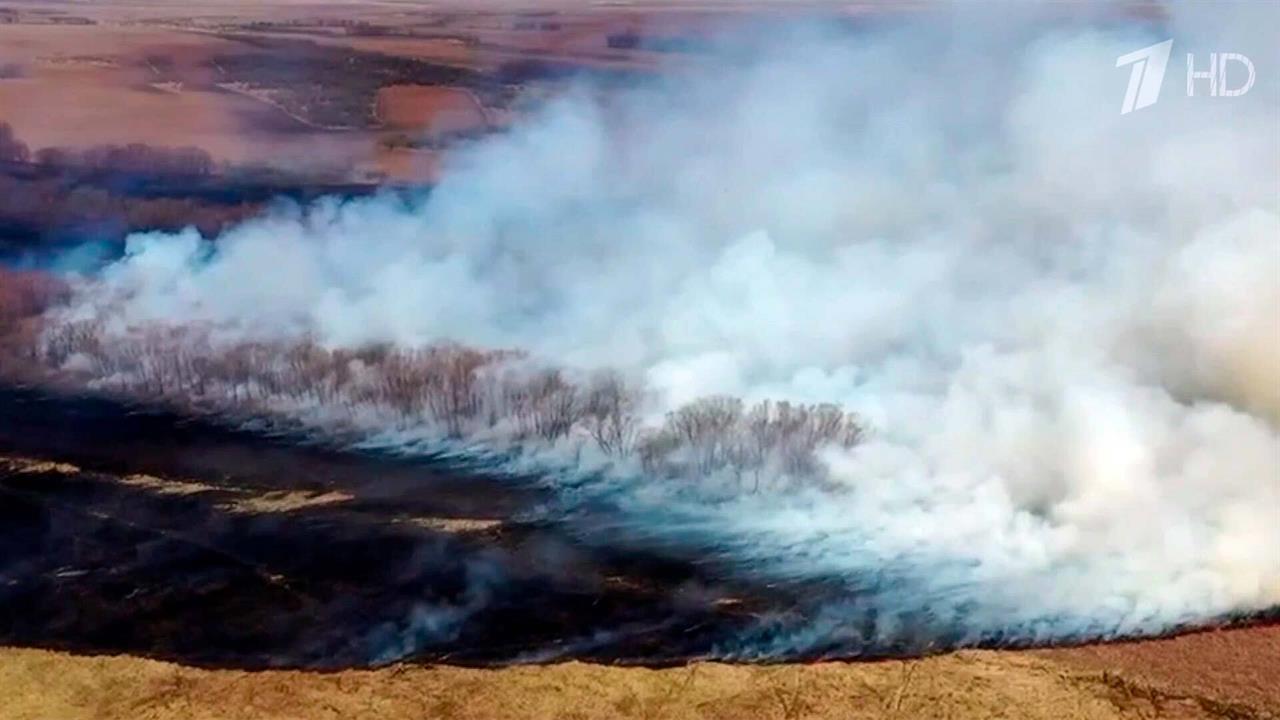 В Амурской области горел Муравьевский заказник, где обитают краснокнижные птицы