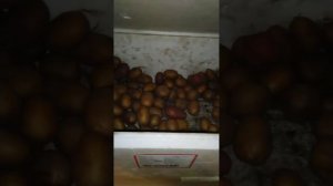 надземный погреб