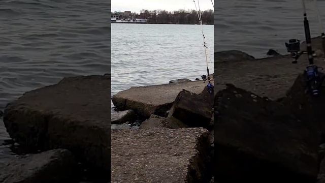 Рыбалка на сбросном канале Новотроецкое водохранилищ смотреть онлайн