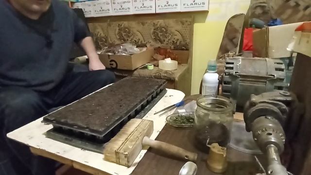 Семена на ТЕСТИРОВАНИЕ смотреть онлайн