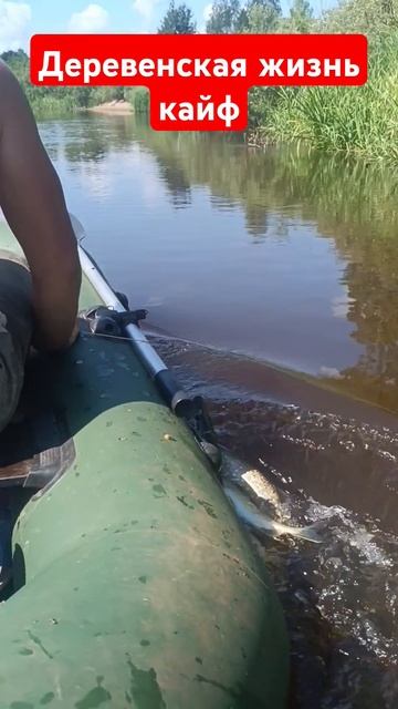 Деревенская жизнь в кайф. Труд, отдых, жизнь.#охота#рыб? смотреть онлайн