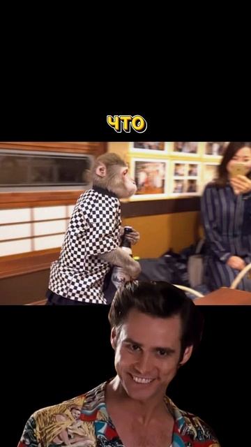 В Японии есть ресторан, где официанты обезьяны Ят Чан смотреть онлайн