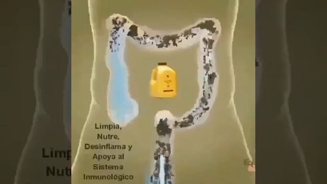 Алоэ Сок смотреть онлайн