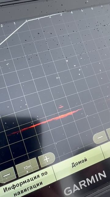 Судак в panoptix#garmin смотреть онлайн