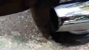 ямаха драг стар 400