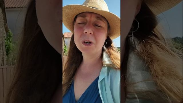 Видео дневник Елизаветы Тюгаевой "Мой путь Камино" 5 се