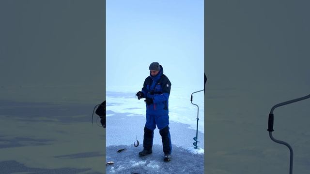 Рыбалка с друзьями на Чудском озере. Рыболовное такси. смотреть онлайн