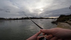 ТОП 7 приманок на осеннего жереха, ловля жереха на спин