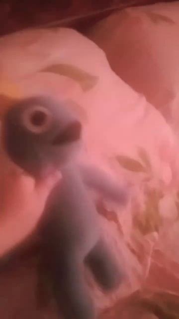 когда батя хотел отвезти на рыбалку но сразу нужно идт смотреть онлайн