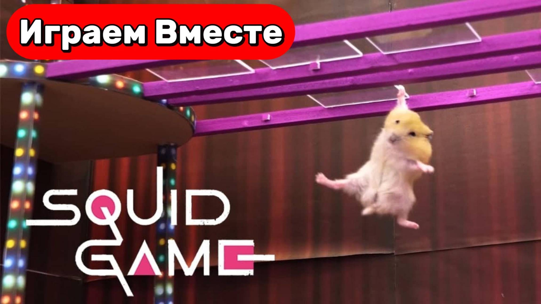 Хомяки проходят испытания как в Игре в кальмара 🐹 Приключения Умного Хомяка 🐹 Видео для детей