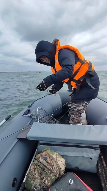 22.03.25 река Маныч. Веселовское водохранилище