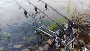 Как правильно ловить щуку на спиннинг, как и какие исп?