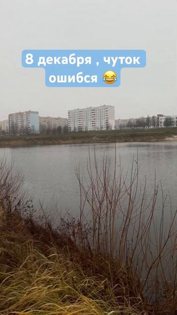 Начало рыбалки 8 декабря #фидер #рыбалка #днепр смотреть онлайн