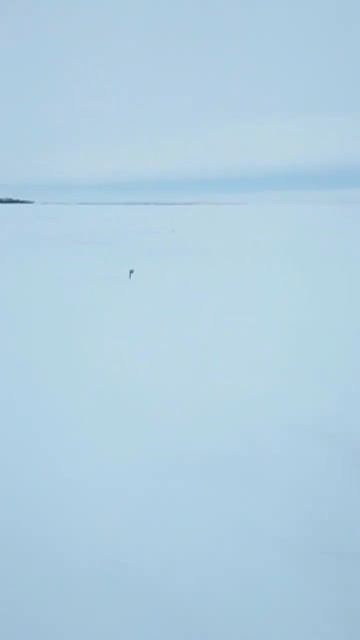 Ириклинское водохранилище. #рыбалка2024 смотреть онлайн