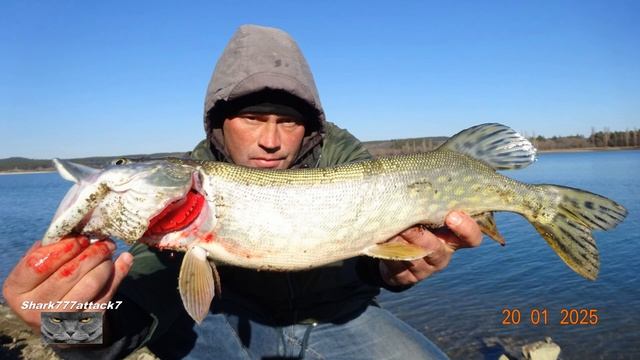 ПРОСТО УЛОВ ЩУКА.ЗИМОЙ НА ДОНКИ. смотреть онлайн