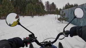 Dingo T125, прокатился по лесу. Наткнулся на следы медведя?