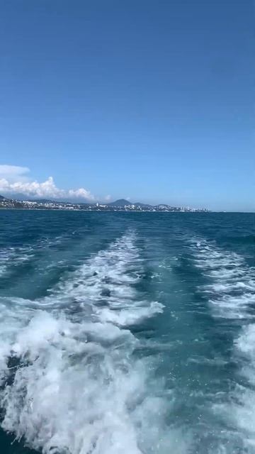 Рыбалка Сочи 2024 смотреть онлайн