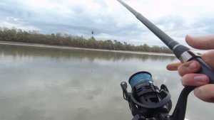 Осенняя рыбалка на Кубани 🎣 Ловля густеры, тарани и с?